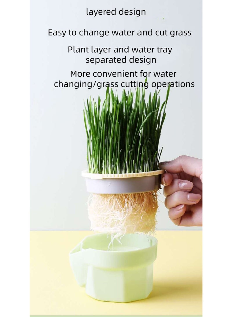 كوب عشبي للقطط الكسولة بدون تربة يأتي مع 4 عبوات من عشب القطط للمساعدة على الهضم وتنظيف التنفس والحث على القيء للقطط ذات كرات الشعر. - Image 5